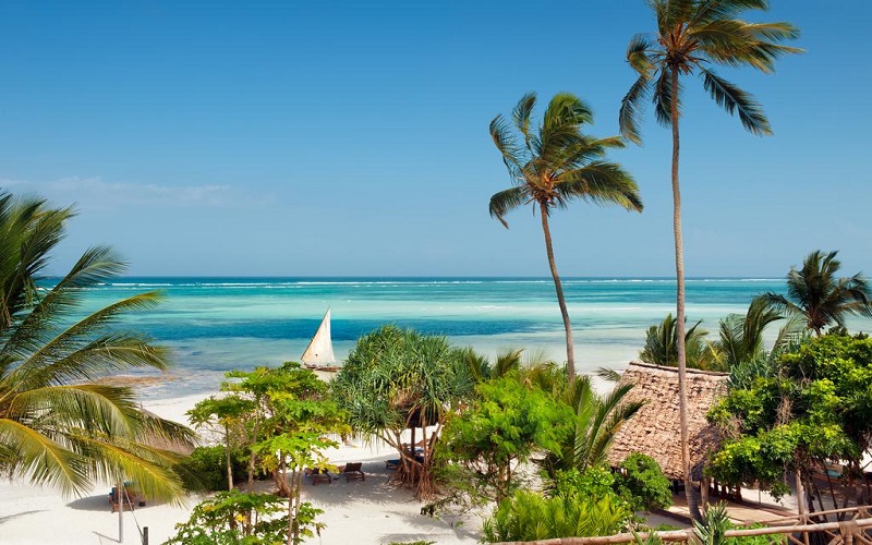 10 Unforgettable Things to Do in Zanzibar, Tanzania
