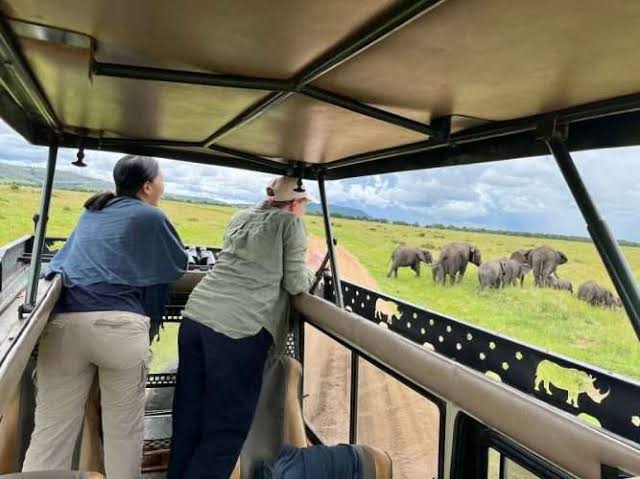 Best Time to Visit Tanzania for an Incredible Safari