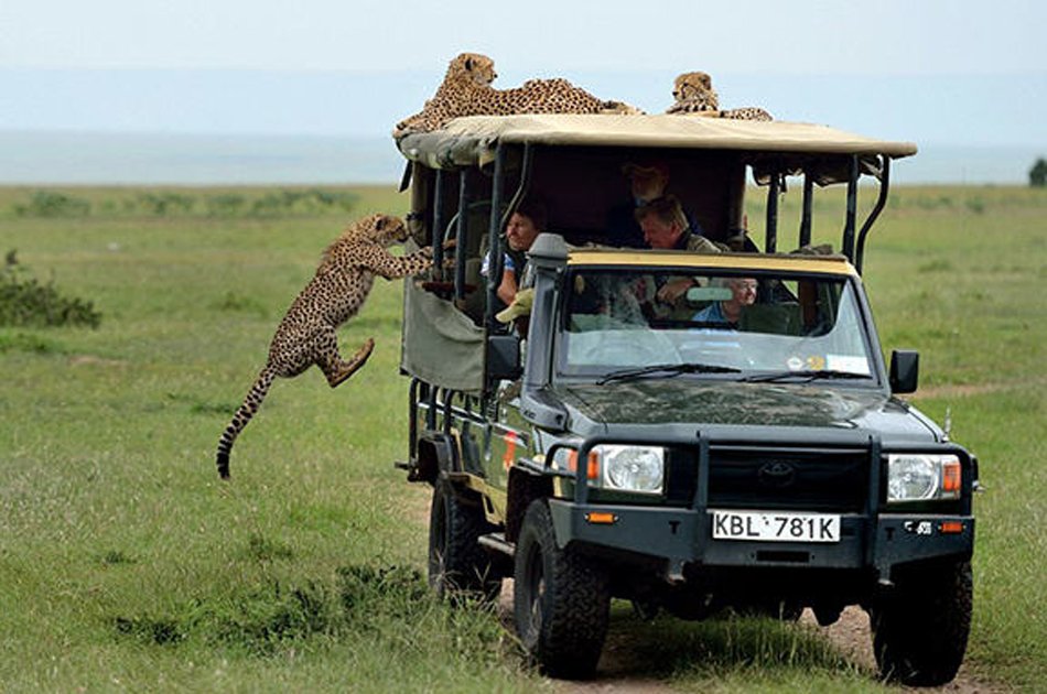 Best Time to Go on Safari in Tanzania