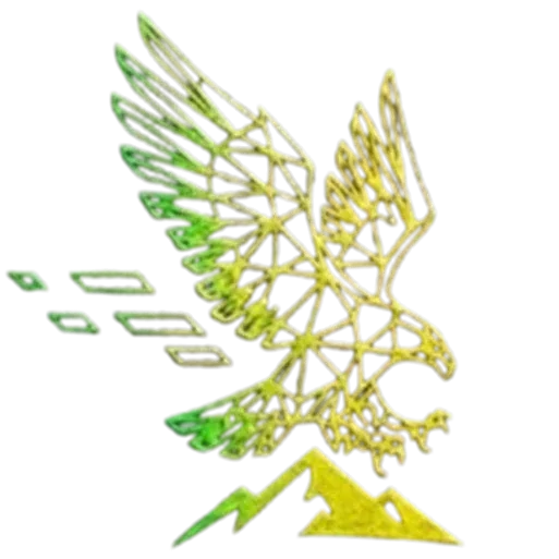 Twina Safaris
