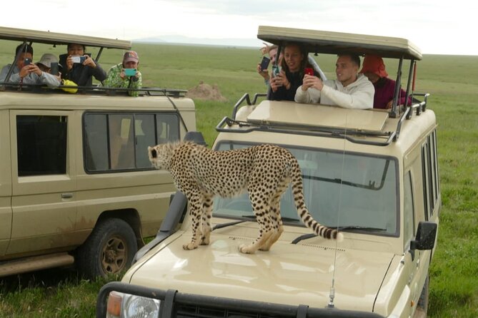 3-Day Tanzania Nature & Wildlife Group Safari