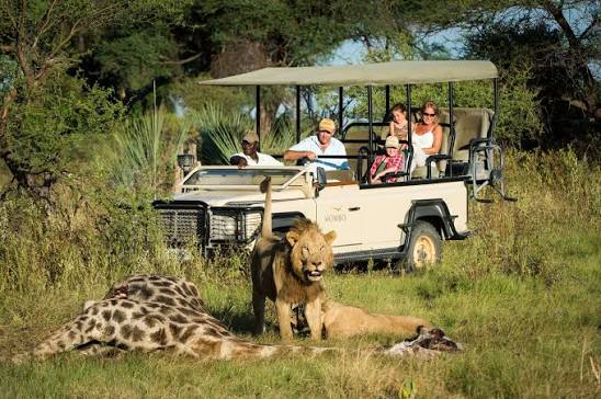Tanzania Family Safari Packages | Private Wildlife Tours & Adventures