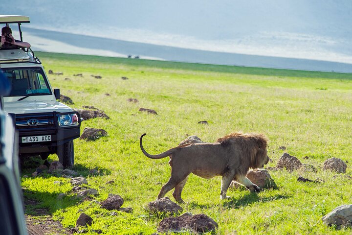 Luxury Honeymoon Safari Packages in Tanzania & Zanzibar