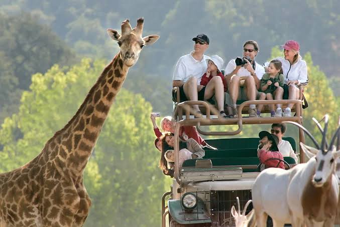 6 Days Tanzania Family Adventure Safari