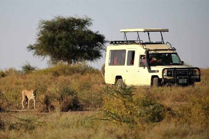 6 Days Tanzania Family Adventure Safari