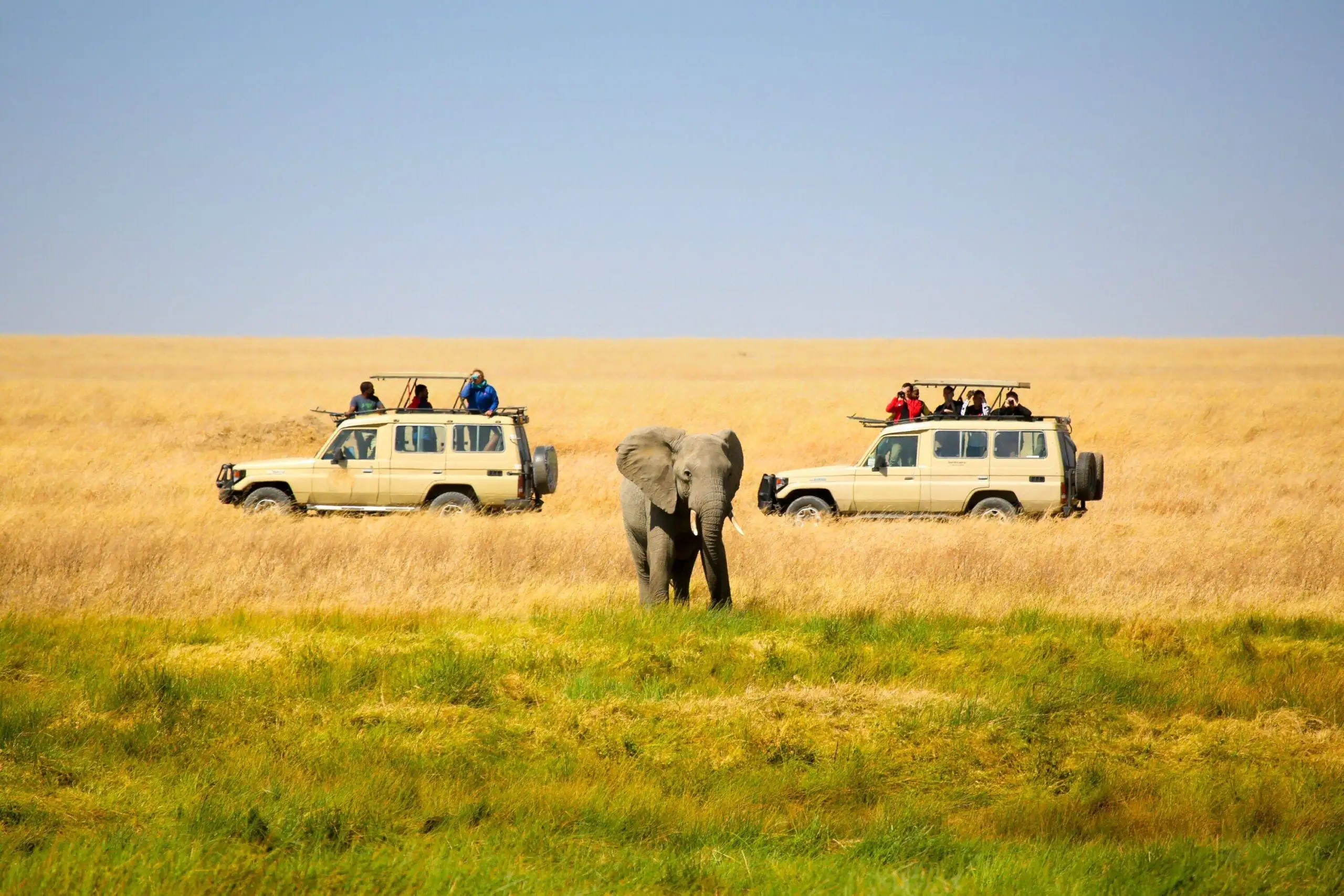 Tanzania Family Safari Packages | Private Wildlife Tours & Adventures