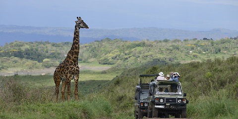 3-Day Tanzania Nature & Wildlife Group Safari
