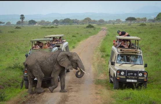 3-Day Tanzania Family Safari – Tarangire and Ngorongoro