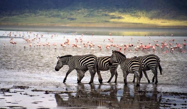 5-Day Tanzania Safari, Waterfalls & Nature Escape