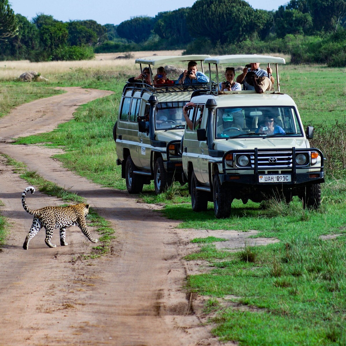 3-Day Tanzania Nature & Wildlife Group Safari